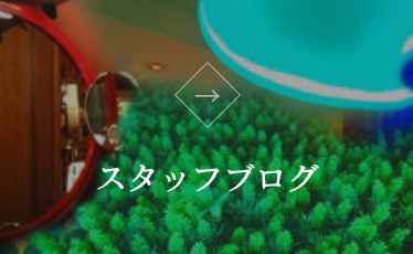 スタッフブログ案内